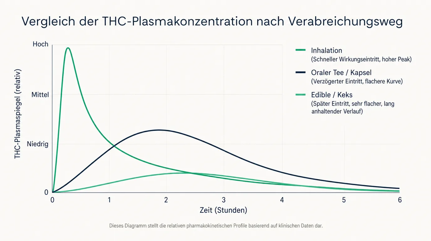 Diagramm vergleicht THC-Plasmaspiegel nach Inhalation, Tee und Edibles über sechs Stunden